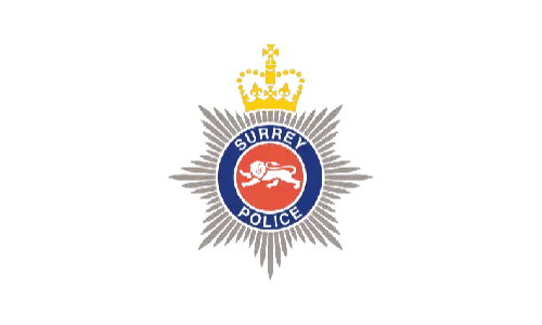 Customer logo