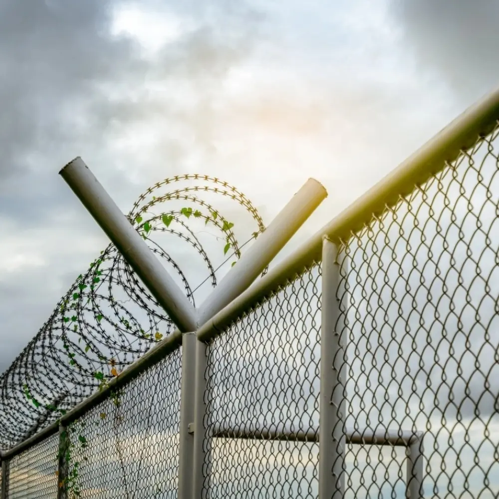 Security fence