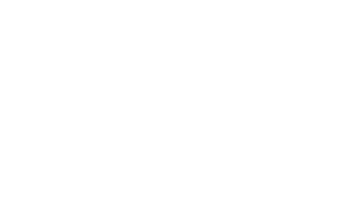 VW Logo